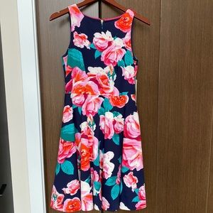 Brand new, Eliza J, navy floral, knee length dress, size 6